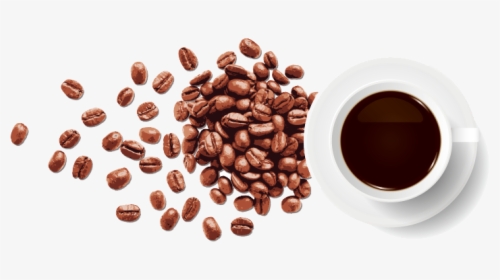 Coffee Bean Espresso - Vector Coffee Beans Png, Transparent Png, Transparent PNG