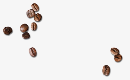 Scattered Coffee Beans Png Download - Coffee Beans Transparent Background, Png Download, Transparent PNG