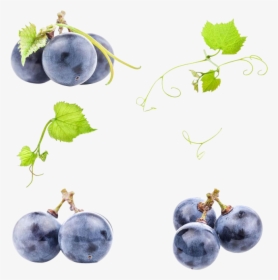 Black Grapes Png Photo - Black Grape Png, Transparent Png, Transparent PNG