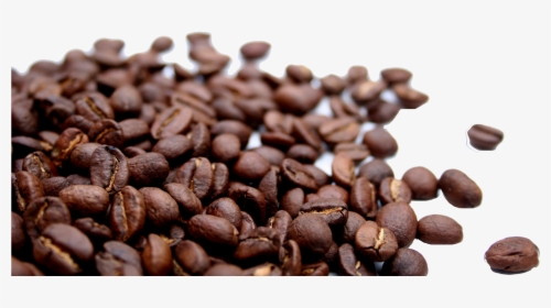 Coffee Beans Png Hd Wallpaper - Transparent Background Coffee Beans Png, Png Download, Transparent PNG