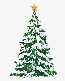Christmas Tree Christmas Card Clip Art - Large Christmas Tree Clipart, HD Png Download, Transparent PNG