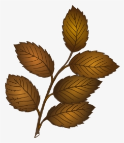 Fall Leaves Branch Clip - Leaves On Branch Clipart, HD Png Download, Transparent PNG