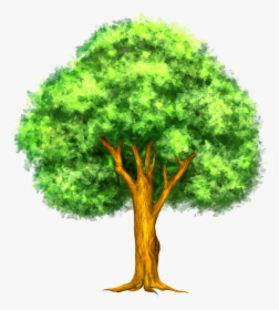 Tree Clip Art - Plant Response To Climate Change, HD Png Download, Transparent PNG