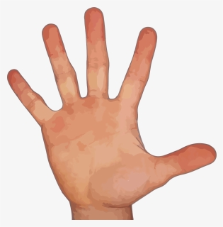 Finger, Hand, Thumb, Index Finger, Pointer Finger - Hand With 5 Fingers, HD Png Download, Transparent PNG