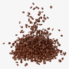 Scattered Coffee Bean Png, Transparent Png, Transparent PNG