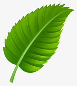 Green Leaf Png Clip Art, Transparent Png, Transparent PNG