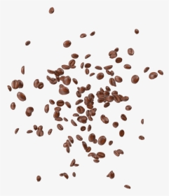 Coffee Beans Png Image - Flying Coffee Beans Png, Transparent Png, Transparent PNG
