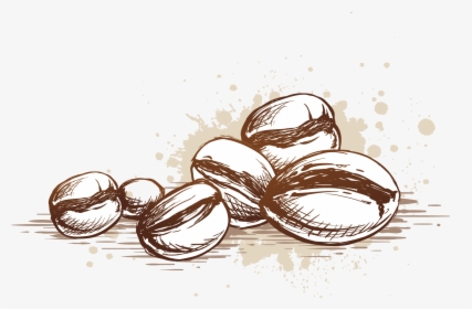 Beans Vector Coffee Seed - Coffee Bean Vector Png, Transparent Png, Transparent PNG