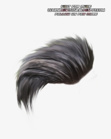 Hair,hairstyle,black Hair,feather,fashion Accessory,long - Stylish Picsart Hair Png, Transparent Png, Transparent PNG