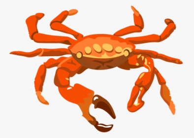 Crab Pictures Clip Art Best For Food - Transparent Background Crab Transparent, HD Png Download, Transparent PNG