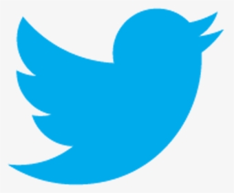 Twitter Bird Icon Png, Transparent Png, Transparent PNG