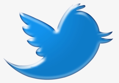 Twitter Bird Logo Png Transparent Background Vector, Png Download, Transparent PNG