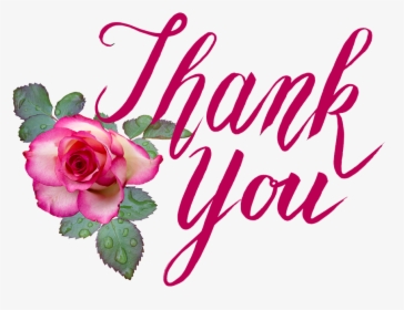 Thank You, Rose, Love, Romantic, Florist, Greeting, HD Png Download, Transparent PNG