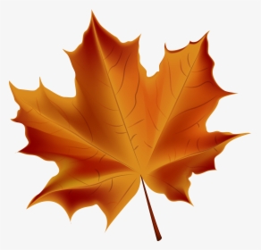 Leaves Clipart Autum Leaves, HD Png Download, Transparent PNG