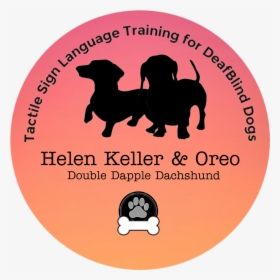 Helen Keller Png, Transparent Png, Transparent PNG
