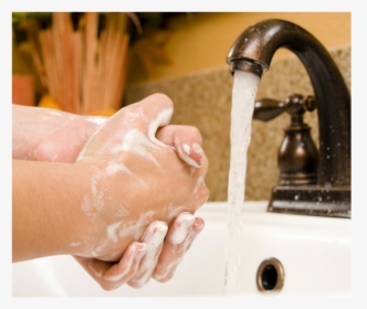 Washing Hands Png, Transparent Png, Transparent PNG