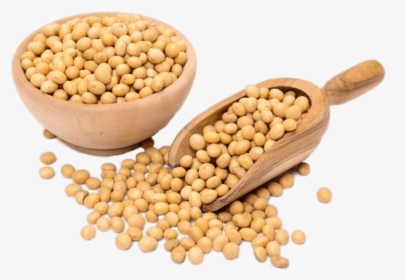 Scoop And Bag Of Dried Soybeans, HD Png Download, Transparent PNG