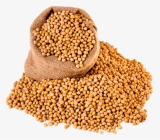 Bag Of Soybeans, HD Png Download, Transparent PNG
