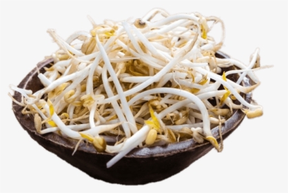 Bowl Of Soybean Sprouts, HD Png Download, Transparent PNG