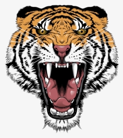 Tiger Lion Roar Big Cat Head, HD Png Download, Transparent PNG