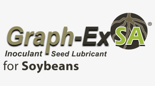 Soybeans Png, Transparent Png, Transparent PNG