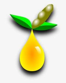 Soybeans Png, Transparent Png, Transparent PNG
