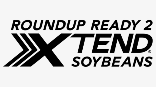 Soybeans Png, Transparent Png, Transparent PNG
