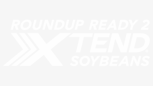 Soybeans Png, Transparent Png, Transparent PNG