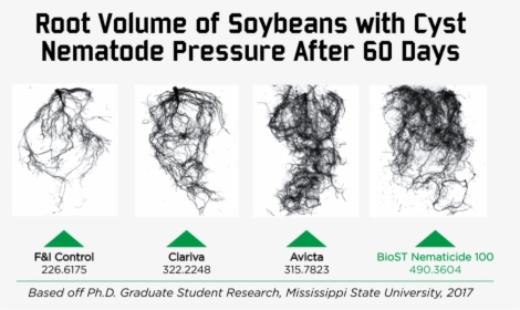 Nematicide Root Volume Comparison, HD Png Download, Transparent PNG