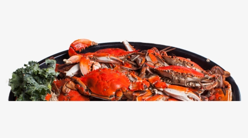 Dungeness Crab, HD Png Download, Transparent PNG
