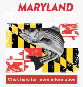 2019 Md Rockfish Open - Maryland State Flag, HD Png Download, Transparent PNG