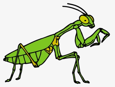 Free Clipart Praying Mantis , Png Download - Free Praying Mantis Clipart, Transparent Png, Transparent PNG