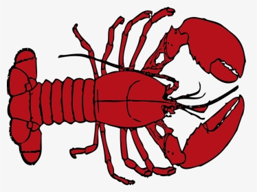 Crab Clipart Lobster - Free Lobster Clipart, HD Png Download, Transparent PNG