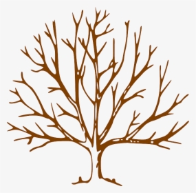 Trees - Tree Drawing With Branches, HD Png Download, Transparent PNG