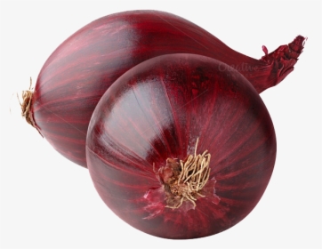 Download Red Onion Png Image - 2 Red Onion Png, Transparent Png, Transparent PNG