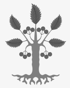 Transparent Birch Tree Clipart - Heraldic Tree Design Logo, HD Png Download, Transparent PNG