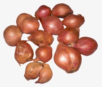 Onion, HD Png Download, Transparent PNG