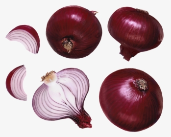 Transparent Onion Png - Swelling Insect Bites Treatment, Png Download, Transparent PNG