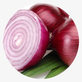 Onion Clipart Pungent - Redonion, HD Png Download, Transparent PNG