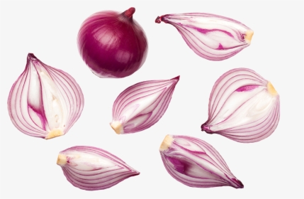 Onion Top View, HD Png Download, Transparent PNG