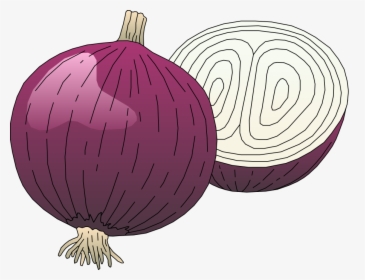 Veggies Clipart Onion Vegetable - Onion Clipart, HD Png Download, Transparent PNG