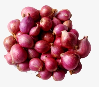 Transparent Onion Png - Onion In Sri Lanka, Png Download, Transparent PNG