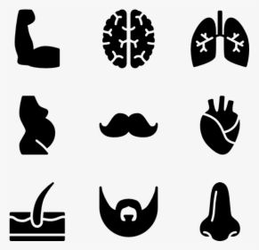 Anatomy - Police Icons, HD Png Download, Transparent PNG