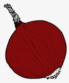 Single Onion Png Image - Illustration, Transparent Png, Transparent PNG