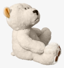 White Teddy Bear Png, Transparent Png, Transparent PNG