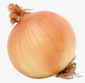 Yellow Onions Color Swatch, HD Png Download, Transparent PNG
