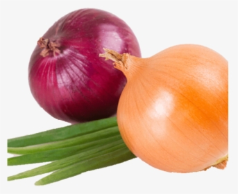 Onion Home Min, HD Png Download, Transparent PNG