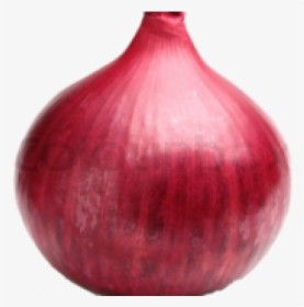Onion Png Transparent Images - Red Onion, Png Download, Transparent PNG