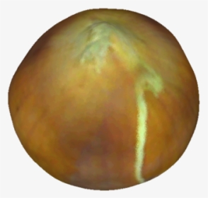 Fruit, HD Png Download, Transparent PNG