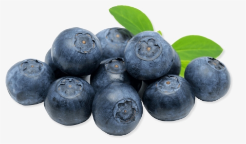 Blueberries - Blueberry Con Fondo Transparente, HD Png Download, Transparent PNG